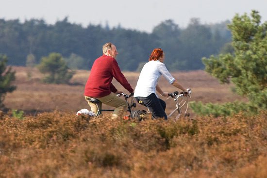 Fietsen op de Veluwe